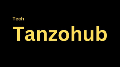 Tanzohub